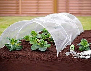 poly-plant-protector-grow-tunnel-pack-of-3