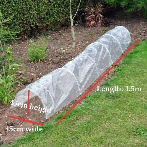 poly-plant-protector-grow-tunnel-pack-of-3