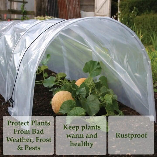 poly-plant-protector-grow-tunnel-pack-of-3