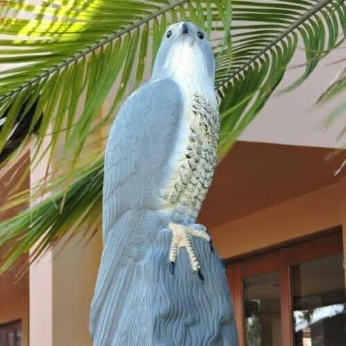 realistic-falcon-garden-bird-deterrent-ornament