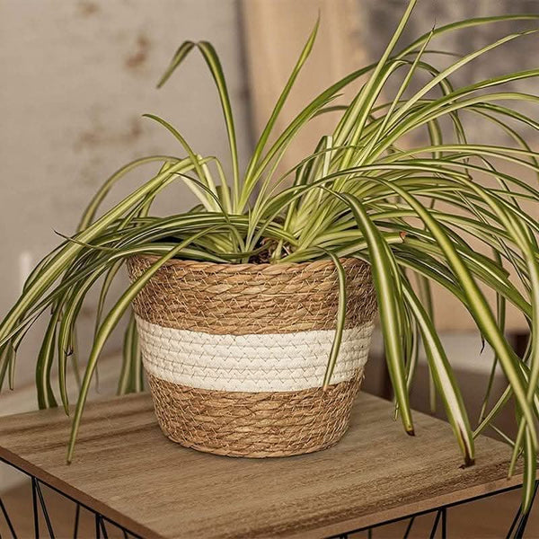 3pc Woven Rope Planters