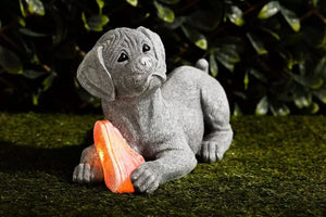 Dog Solar Powered Garden Ornaments