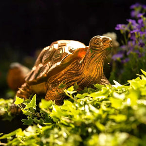 Tortoise Family Garden Ornament 3pc