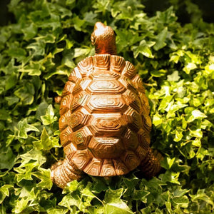 Tortoise Family Garden Ornament 3pc