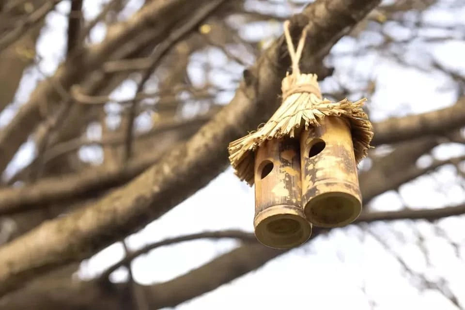 Tiki Hanging Bird Nest Box