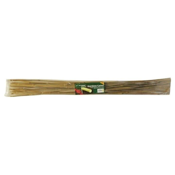 sturdy-bamboo-garden-canes-4ft120cm-set-of-20