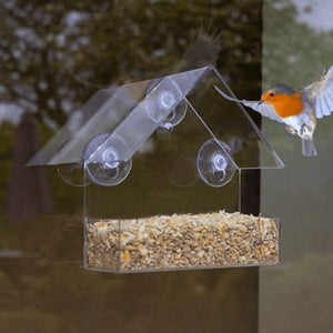 Window Bird Feeder Clear Perspex Feeding Station