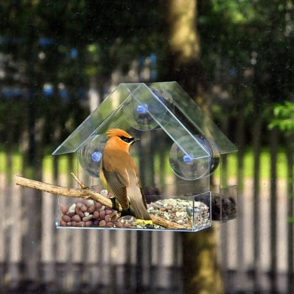 transparent-acrylic-bird-feeder-window-house-shaped