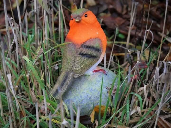 Robin-Red-Breast-Perched-on-A-Stone-Garden-Ornament-Indoor